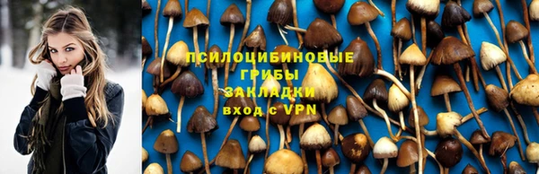 PSILOCYBIN Белокуриха