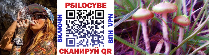 Псилоцибиновые грибы Psilocybe  кракен онион  Рубцовск 