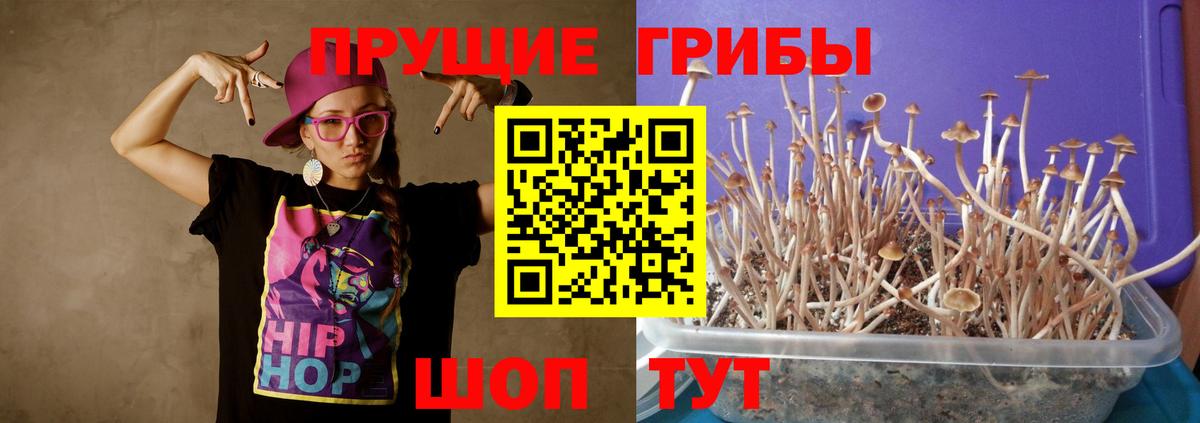 Галлюциногенные грибы ЛСД Рубцовск