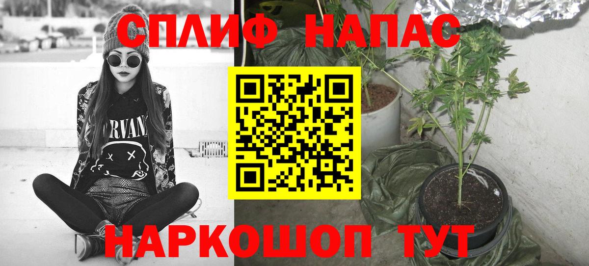 МАРИХУАНА Bruce Banner  Каннабис гибрид  Рубцовск  Марихуана ГИДРОПОН 